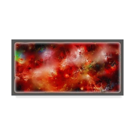 RUNA 'Cosmic Red 4' Canvas Art,10x19